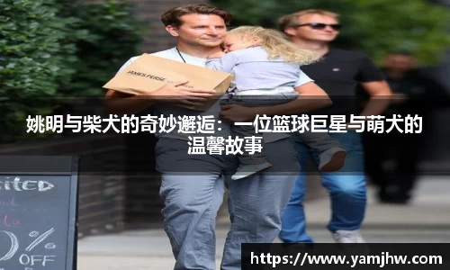 庄闲网站